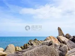 莎拉波娃比分优势明显球迷热议(武贾西奇说莎拉波娃干起来像田鸡)